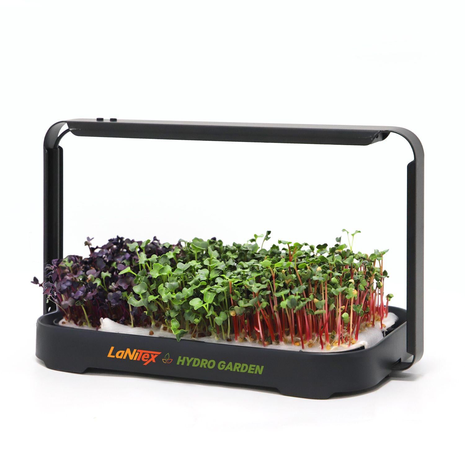 LaNiTex Smart Microgreen Kit growing mixed microgreens, angled view