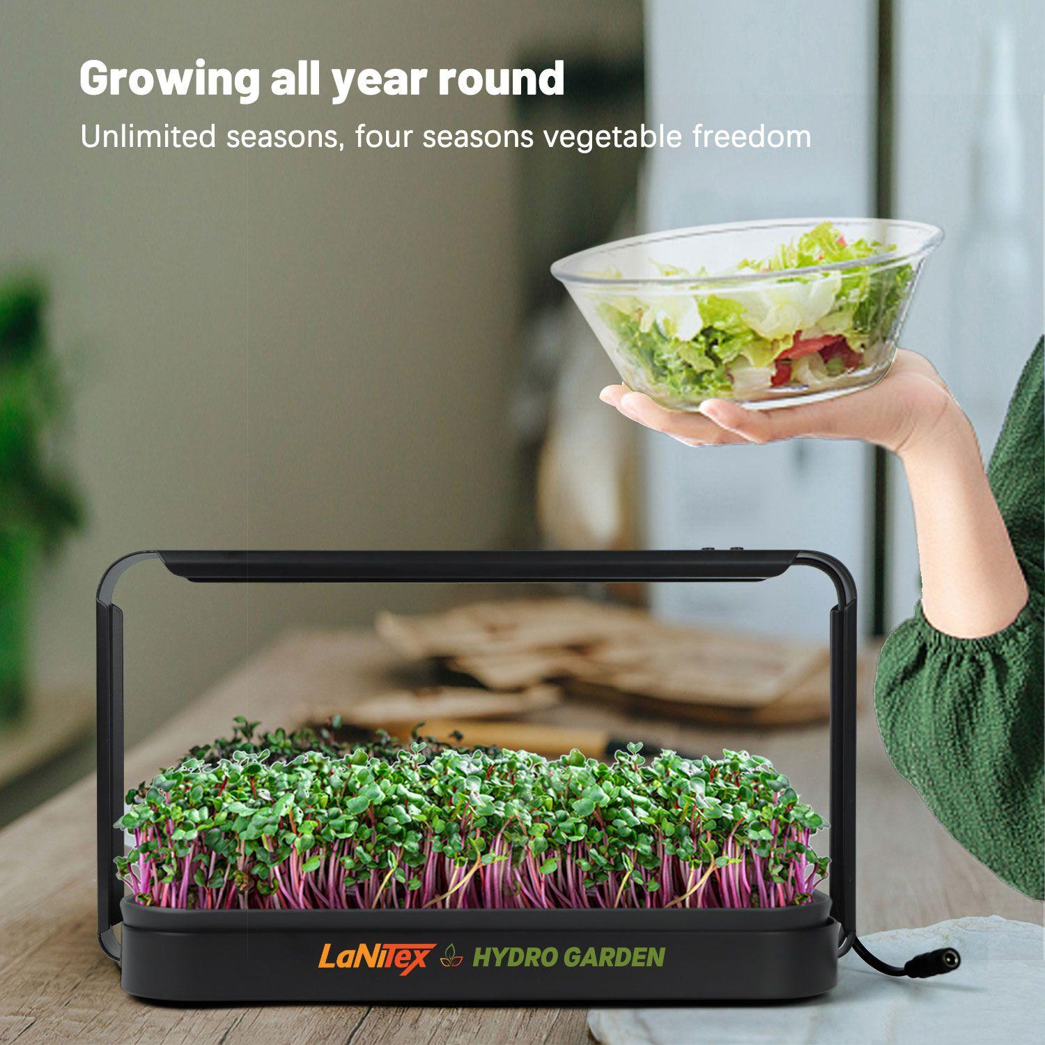Hydroponic gardening system with microgreens and a salad, featuring LaNiTex & HYDRO GARDEN branding.