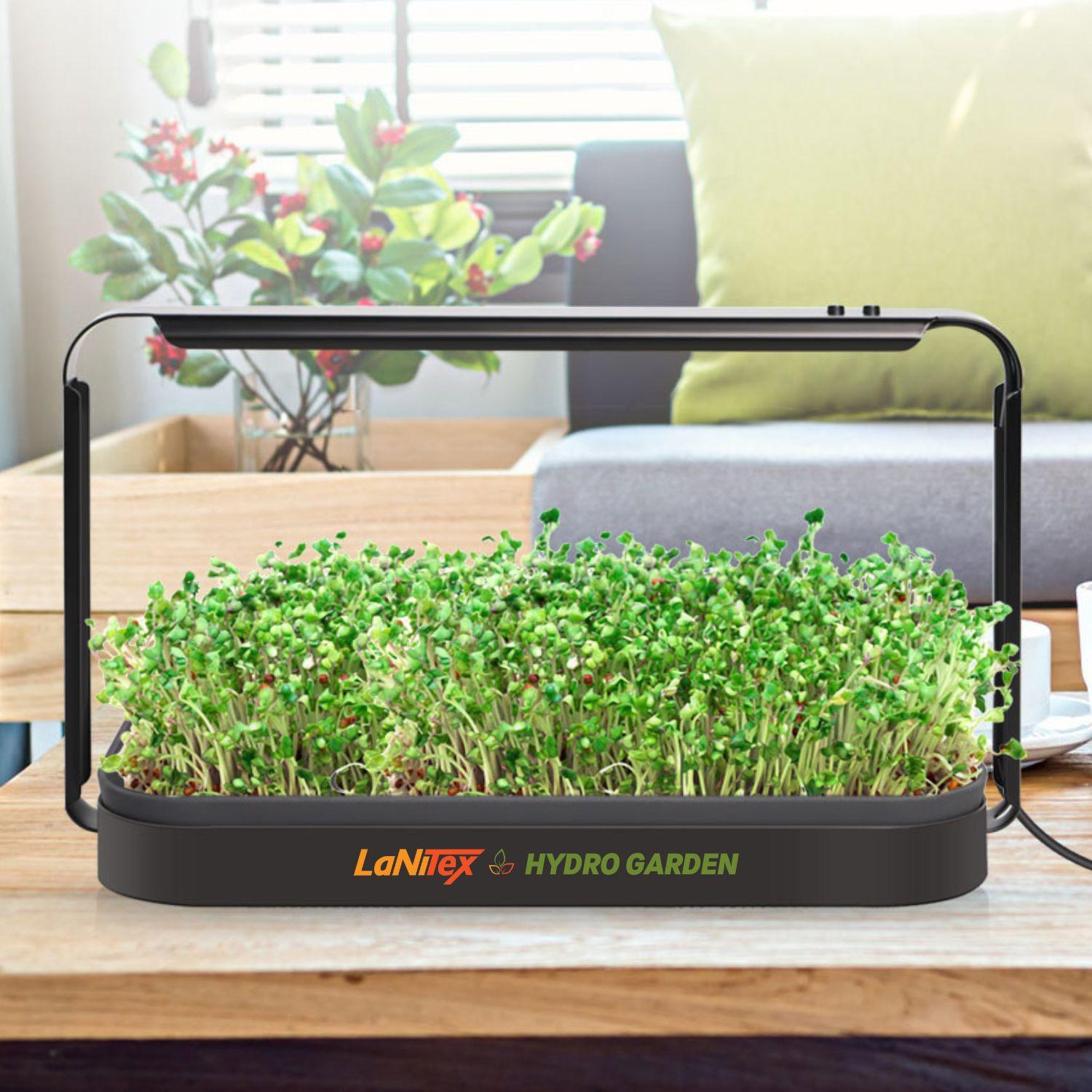 LaNiTex Smart Microgreen Kit growing fresh microgreens on a living-room coffee table