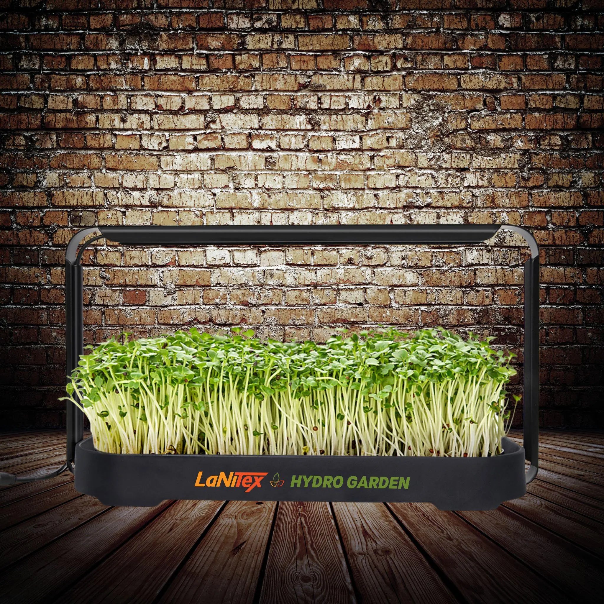 LaNiTex microgreen growing kit in black metal with fresh green microgreens under a full-spectrum LED grow light