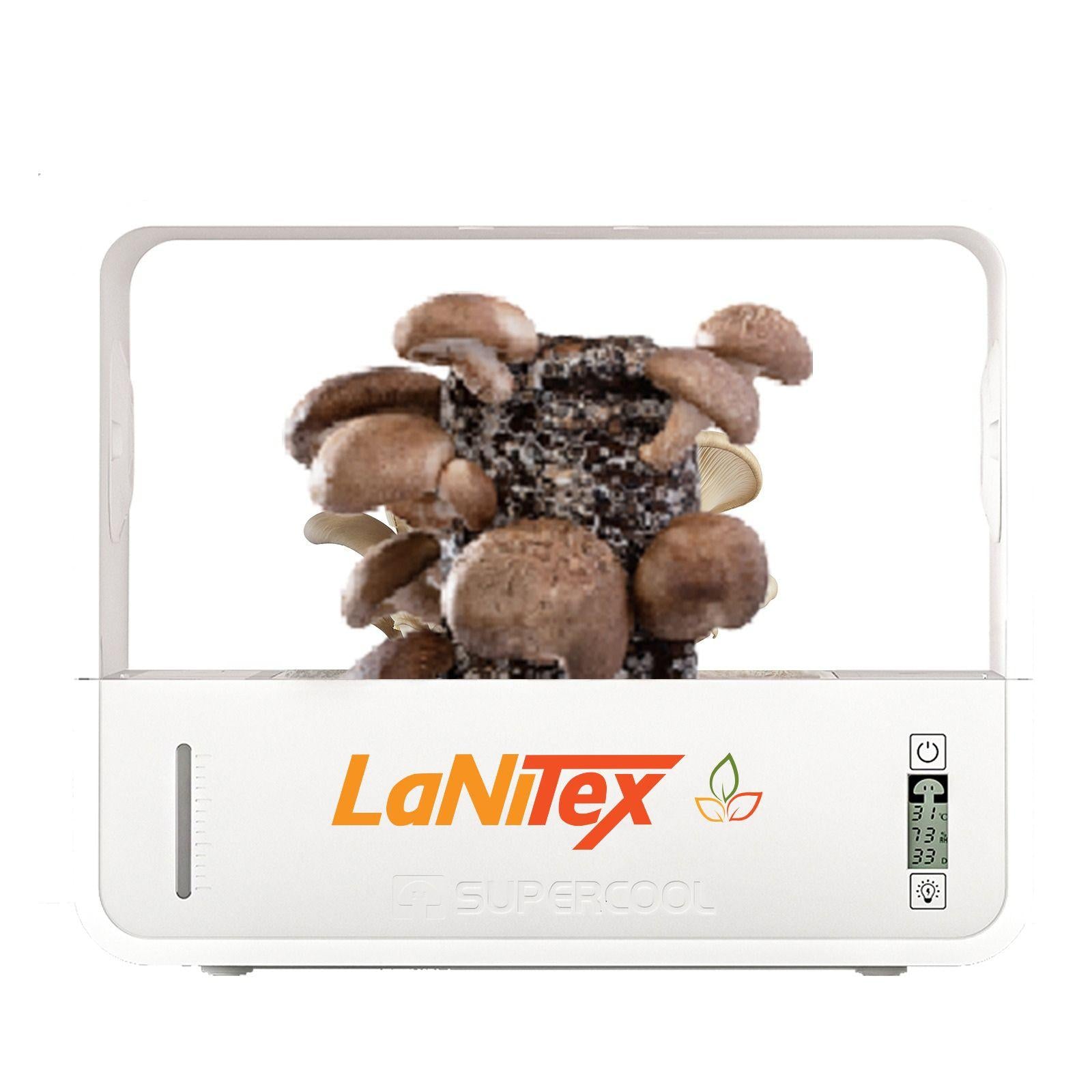 LaNiTex Smart Mushroom Growing Box fruiting shiitake mushrooms on a block, white background