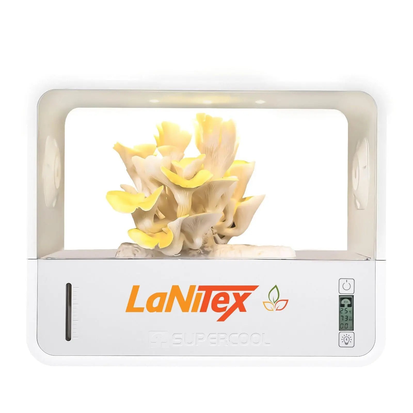 LaNiTex Smart Mushroom Growing Box with golden oyster mushrooms fruiting inside