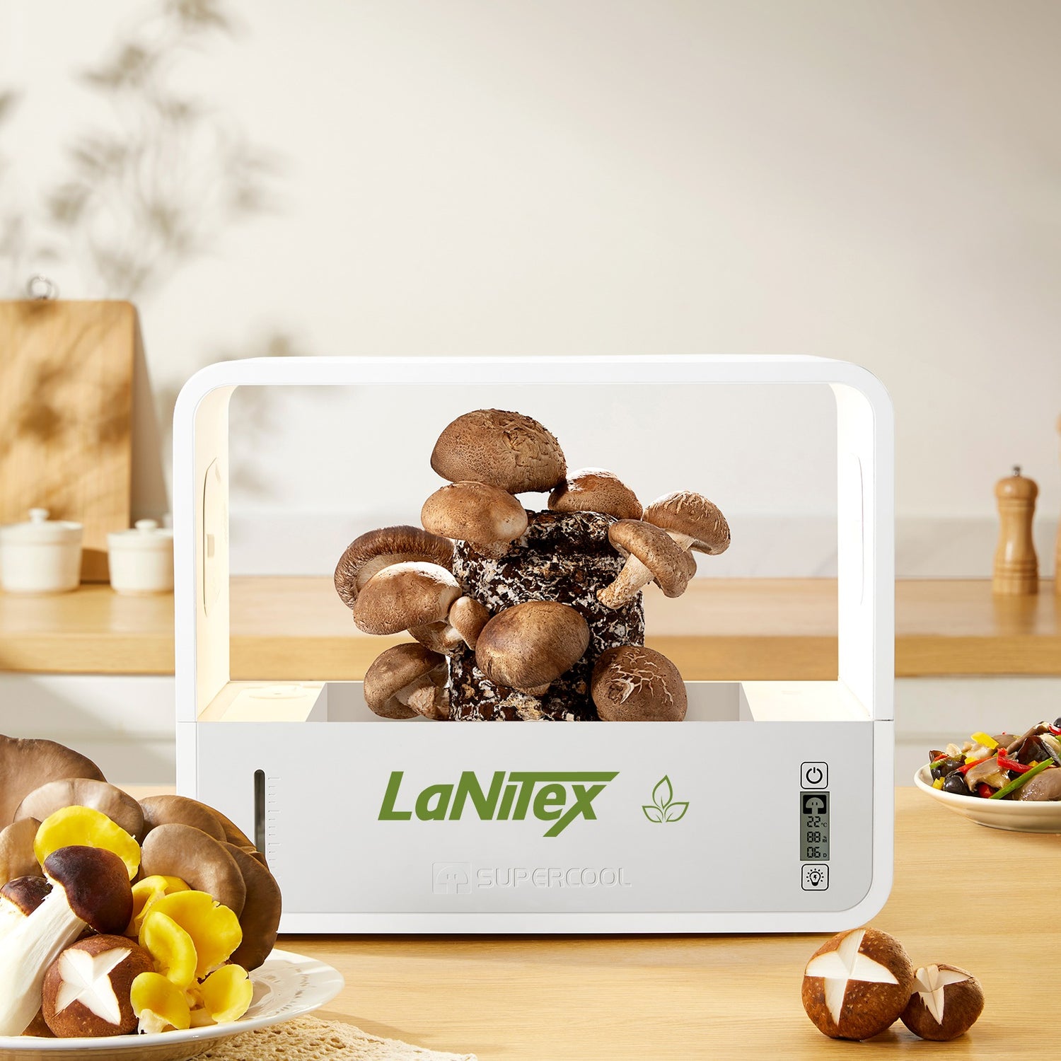 LaNiTex mushroom growing cabinet — a countertop mushroom growing machine