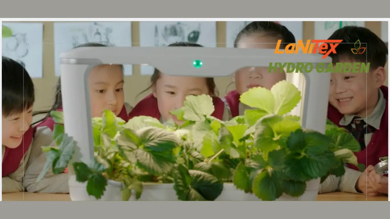 Children in a classroom with a LaNiTex Hydro Garden device growing plants.