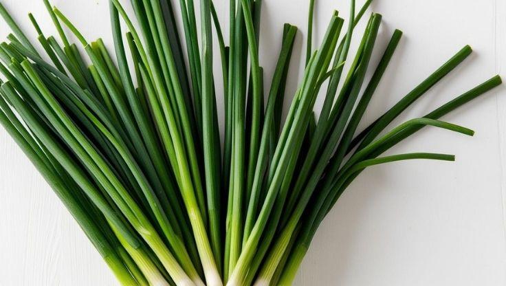 Fresh hydroponic chives with long, slender stalks, neatly arranged on a white surface, showcasing their vibrant color and crisp texture.
