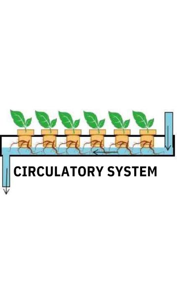 How the LaNiTex indoor hydroponic system circulates water and nutrients to the roots.