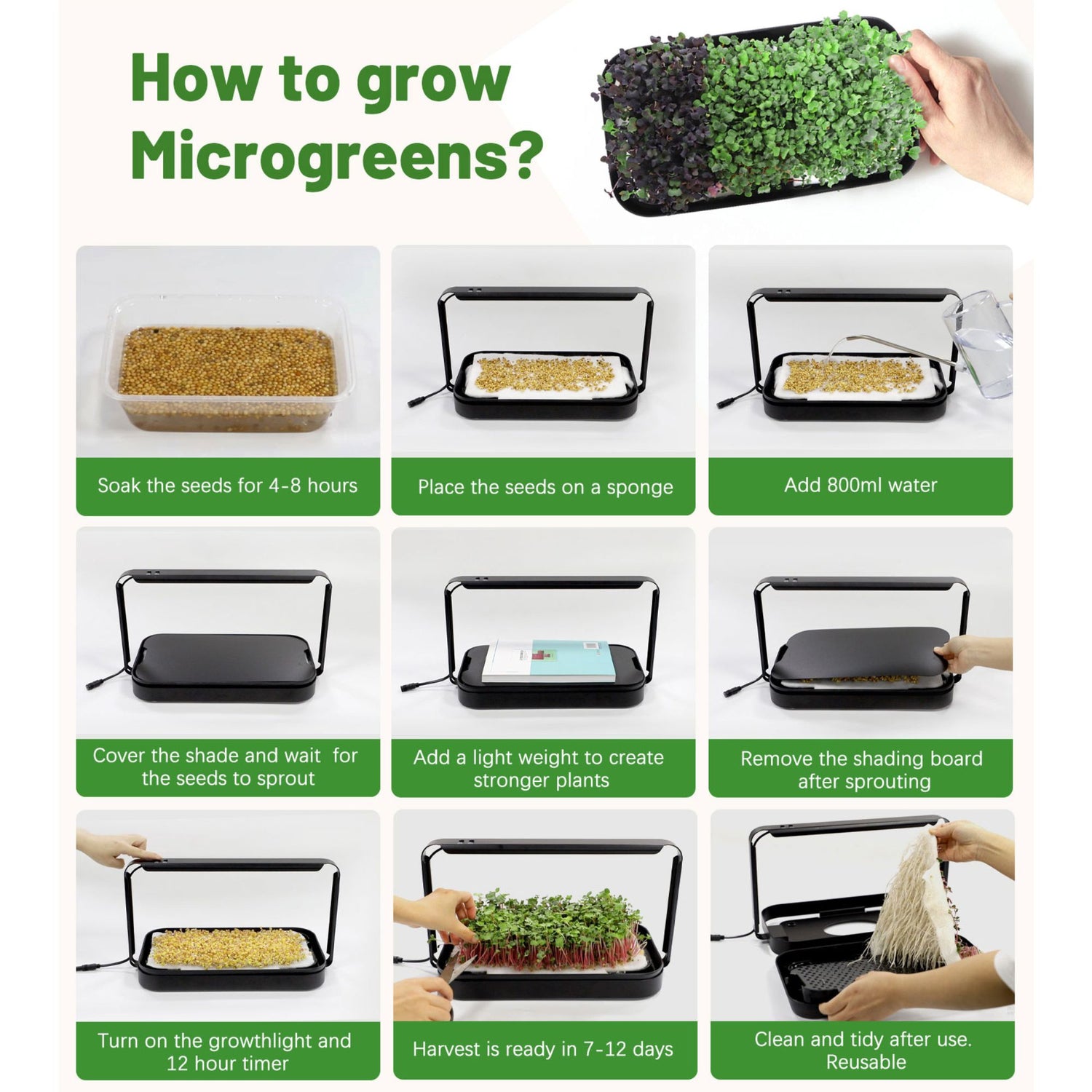 How to grow microgreens at home in 7 to 14 days with the LaNiTex Smart Microgreen Kit
