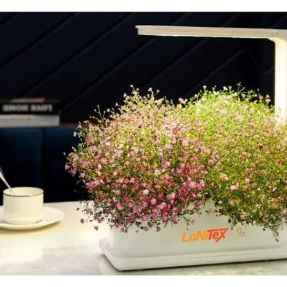 Hydroponic Desktop Grow Box - LaNiTex Hydro Garden