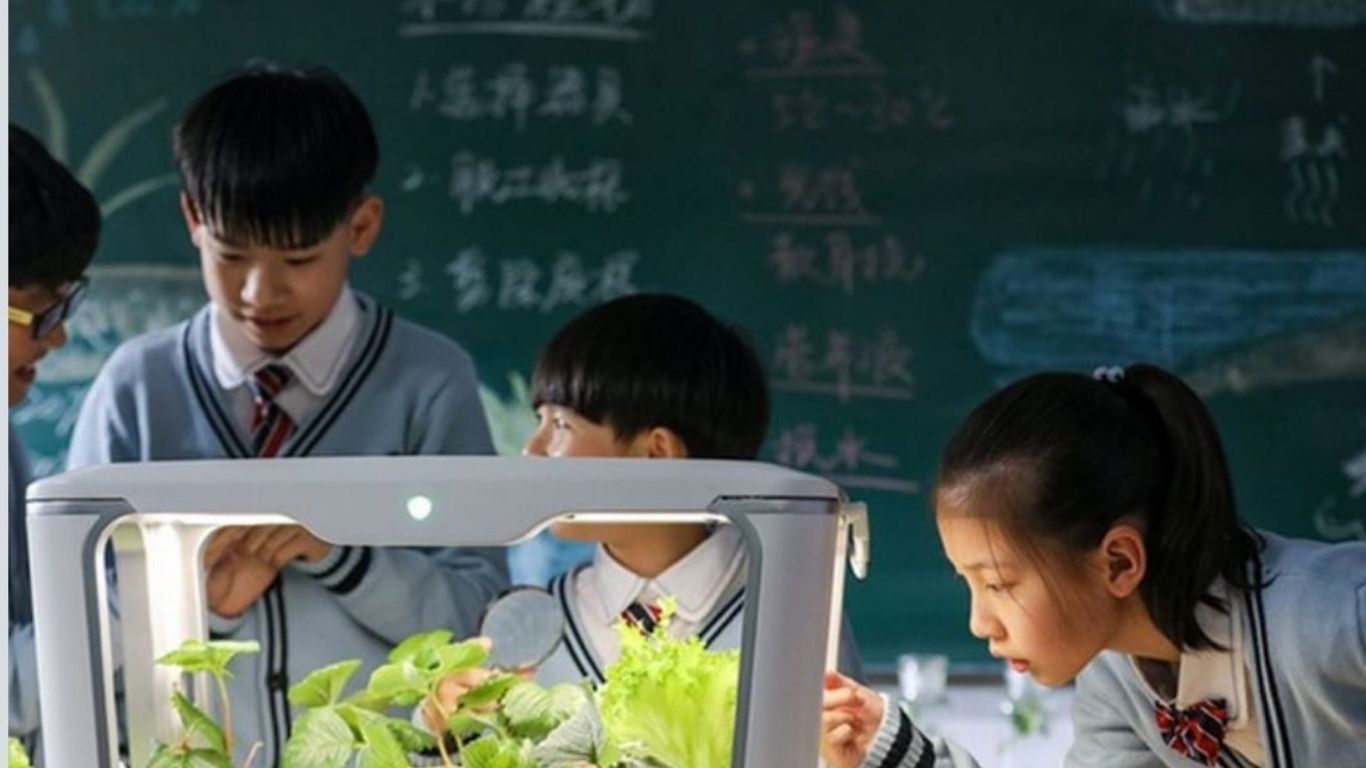 A hydroponic box used as an educational tool for hands-on learning about plant growth.