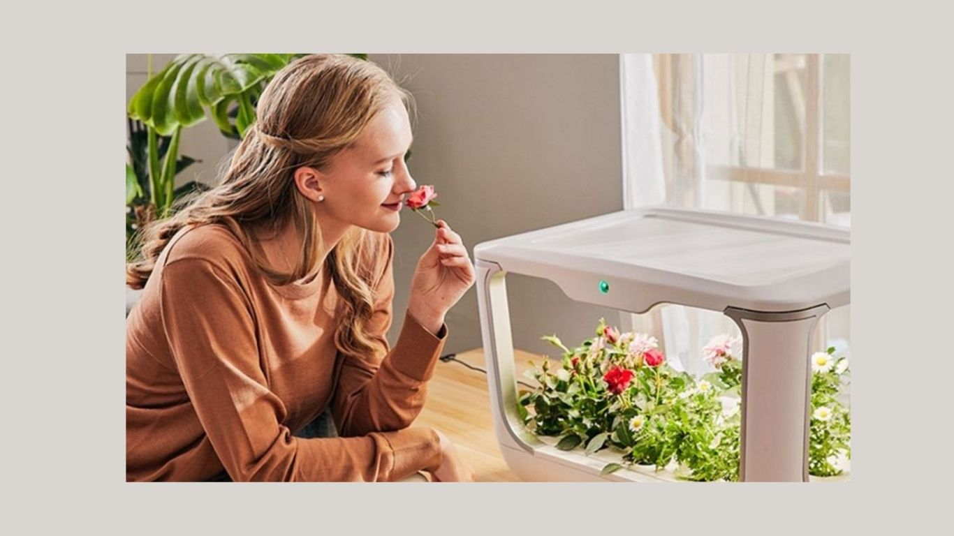 A lush hydroponic garden flourishing under soft kitchen light, bringing freshness to every meal with the Indoor Hydroponic Grow Box.