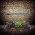 LaNiTex Smart Microgreen Kit black metal countertop hydroponic grower with fresh microgreens