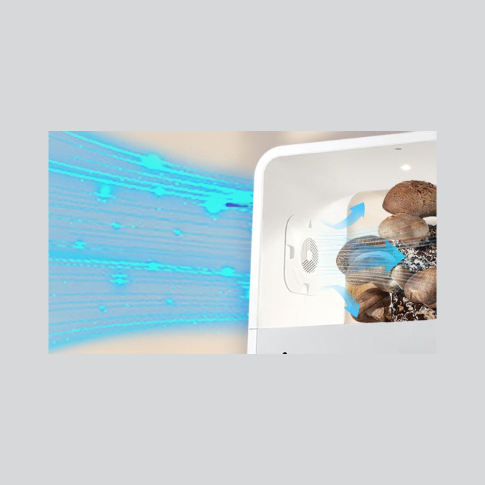 Diagram of the fresh-air fan and filter airflow inside the Smart Mushroom Growing Box