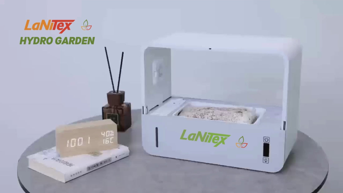 LaNiTex Mushroom box video