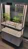 Indoor hydroponic system for growing fresh vegetables with LED lighting.