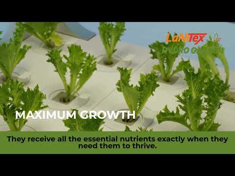 Smart Grow Box video demo – growing fresh greens indoors with the hydroponics growing system
