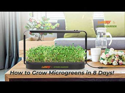 Smart Microgreen Kit video – growing fresh microgreens in 8 days in the Black Metal Edition kit