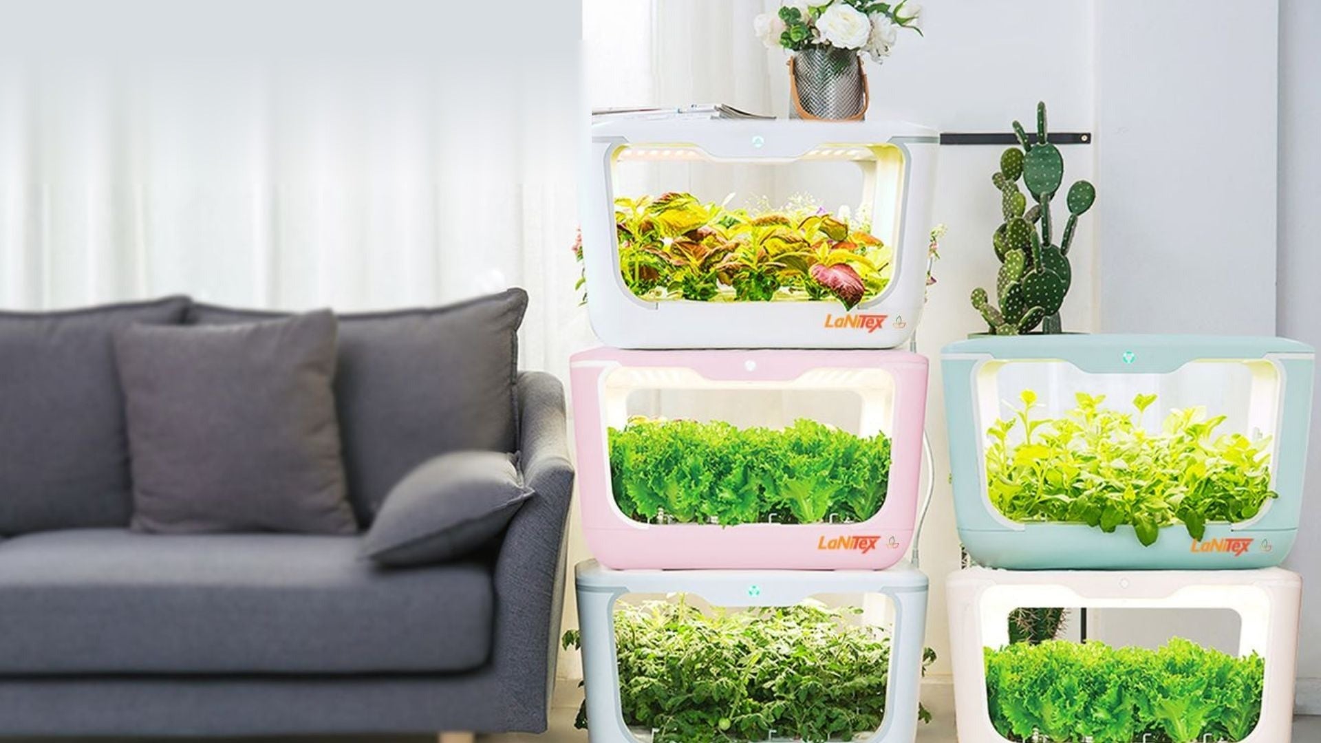 Stacked LaNiTex smart grow boxes full of leafy greens in a bright living room