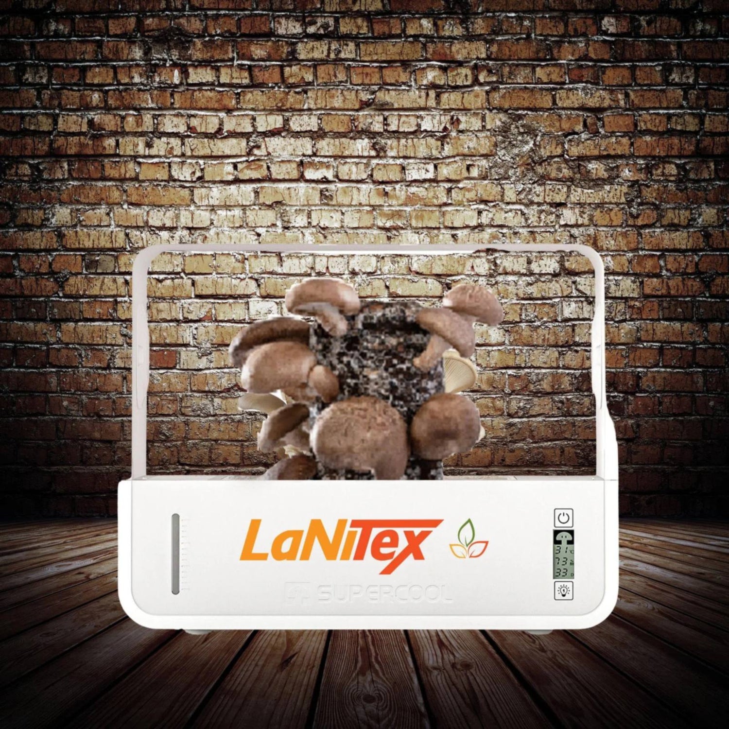 Smart Mushroom Growing Box with LaNiTex logo against a brick wall
