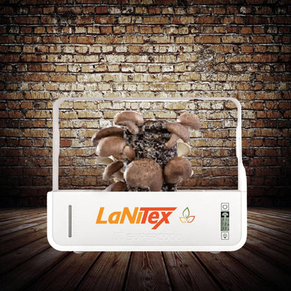 Smart Mushroom Growing Box with LaNiTex logo against a brick wall
