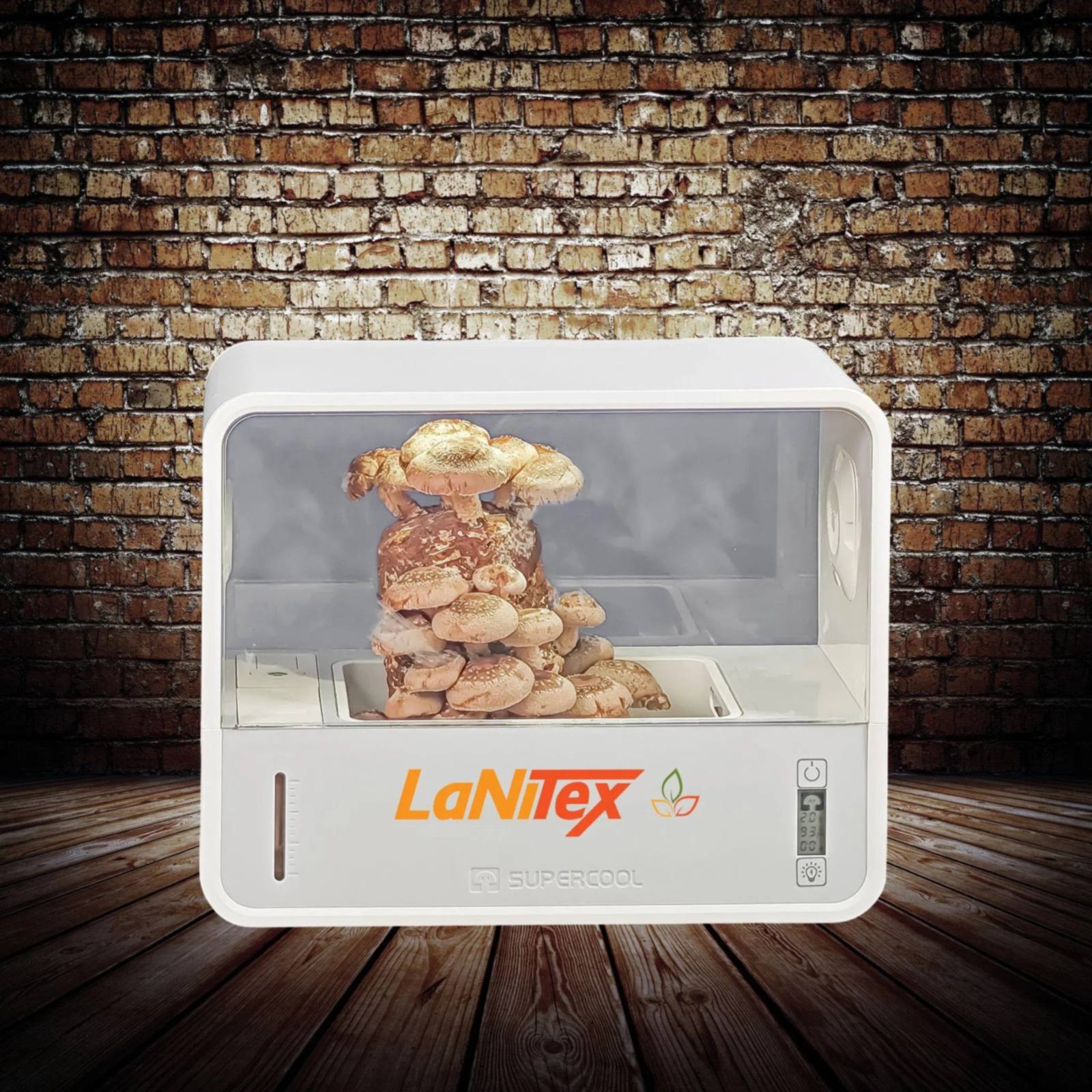 LaNiTex Smart Mushroom Growing Box growing gourmet mushrooms indoors — a benchtop fruiting chamber, ships Australia-wide